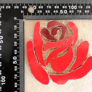 Medium Rose
