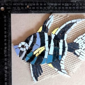 Small Cardinal Fish