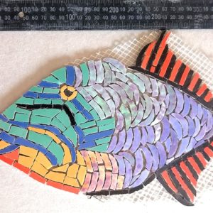 Parrot Fish
