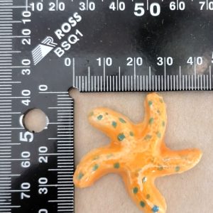 Small Starfish