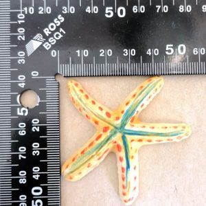 Painted Starfish