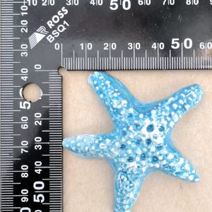 Textured Painted Starfish