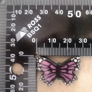 Small Painted Lady Butterfly