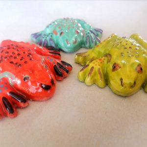 Painted Dish Toad