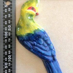 Knysna Turaco