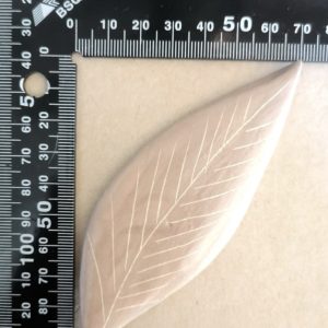 Large Leaf