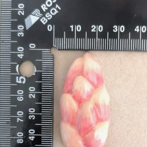 Protea Bud