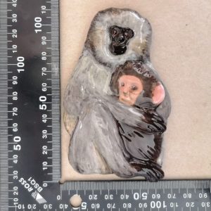 Vervet Monkey and Her Baby