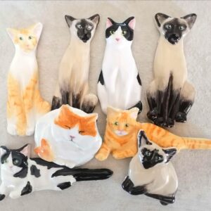 Domestic Cat