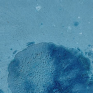 Ocean Foam