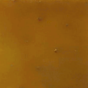 Cider