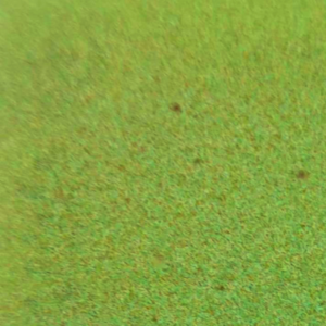 Antiquity