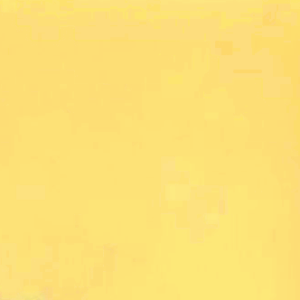 Parmesan